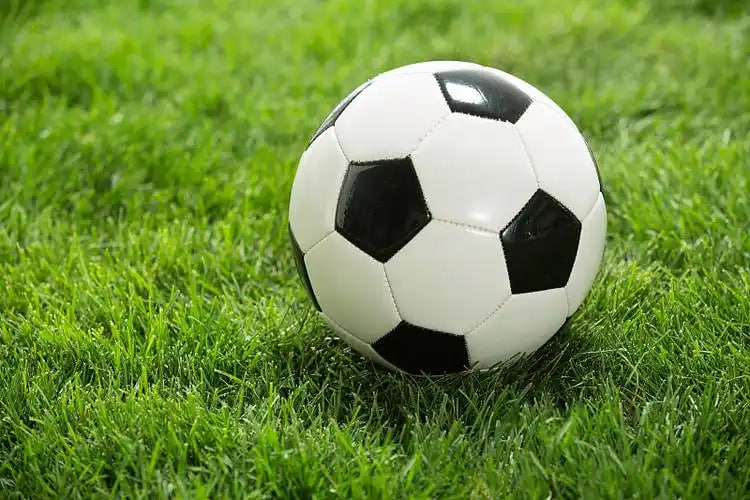 更多足球赛事预测分析数据展示